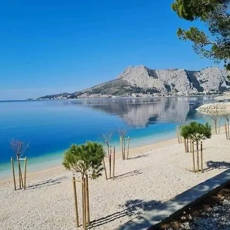 Kadenca * Omis