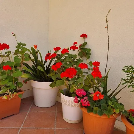 Kadenca Apartament *