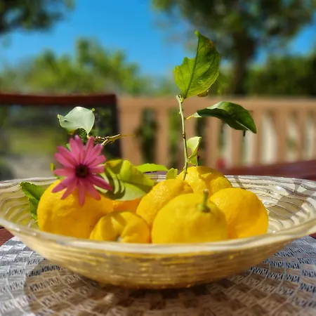 Kadenca أوميس