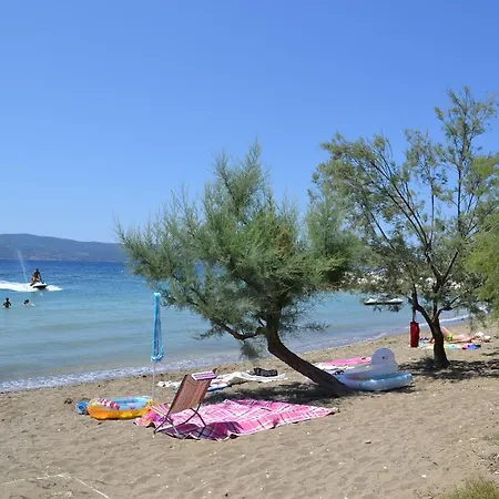 Kadenca * Omis