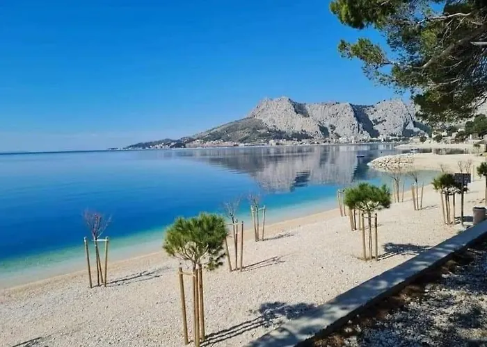 Kadenca * أوميس