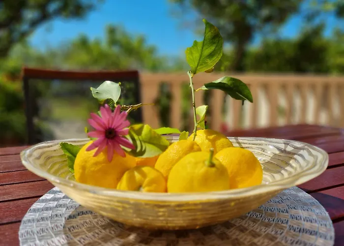 Kadenca أوميس